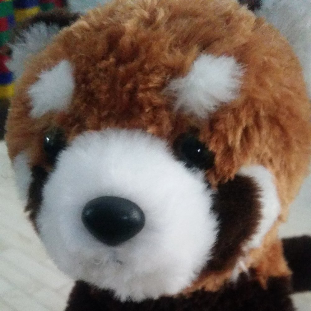 Meet your Posher, Posh